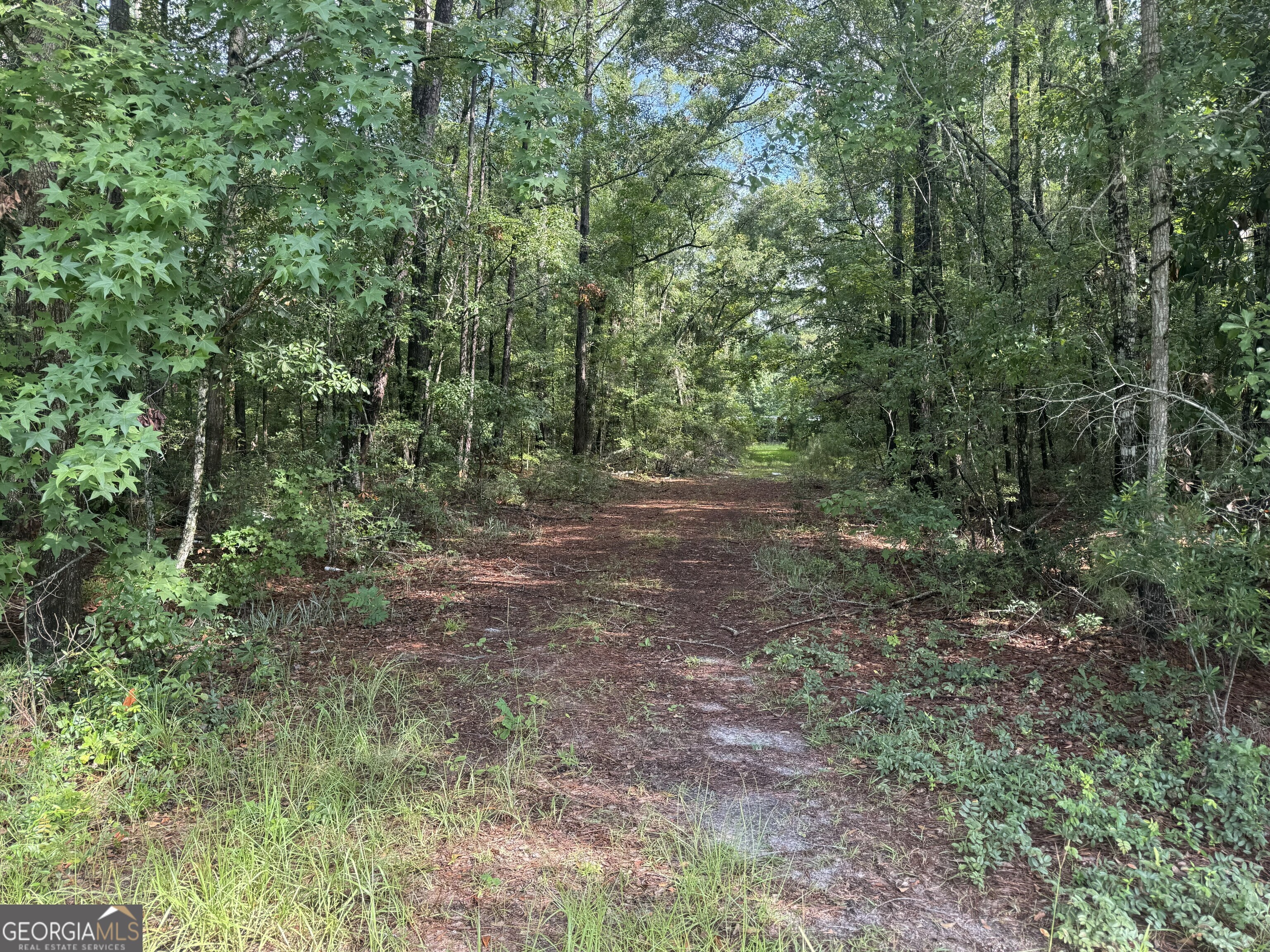 68 Johnson Road Property Photo 1