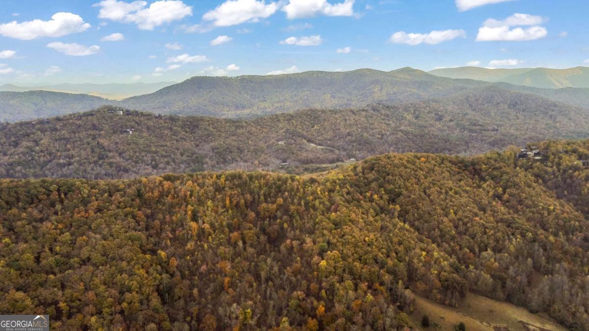 115 Raleigh Ridge Drive Property Photo 8