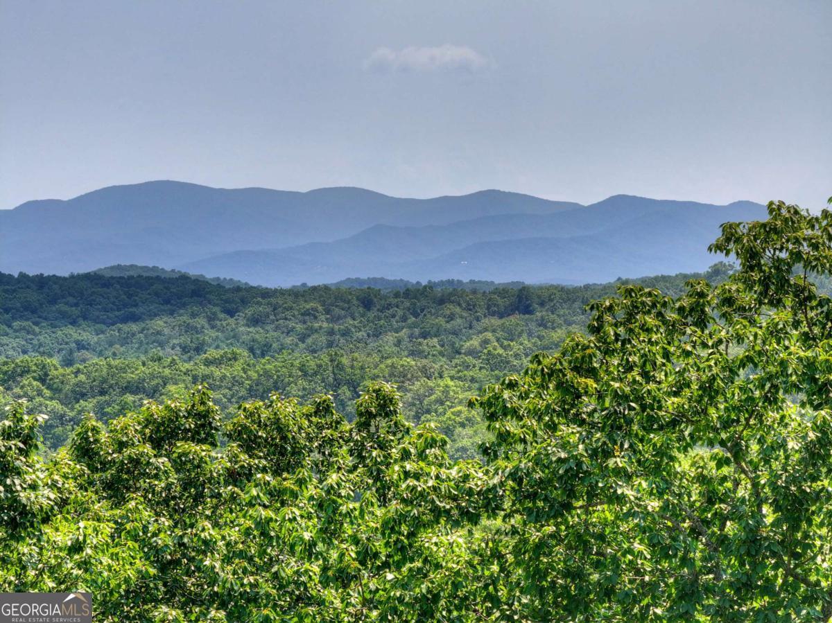 100 Boundless Trail Property Photo 73