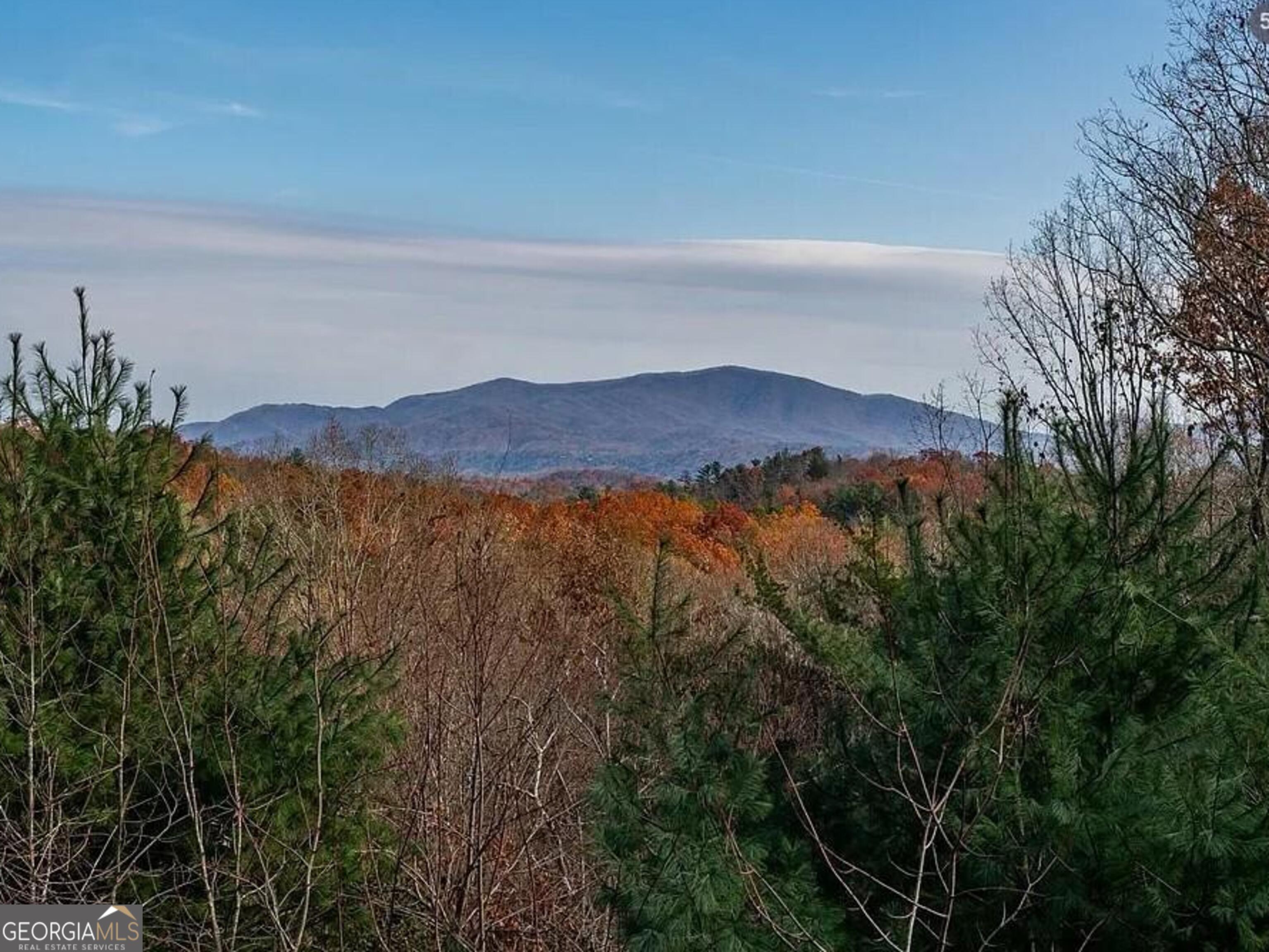 189 Trails End Ridge Property Photo 46