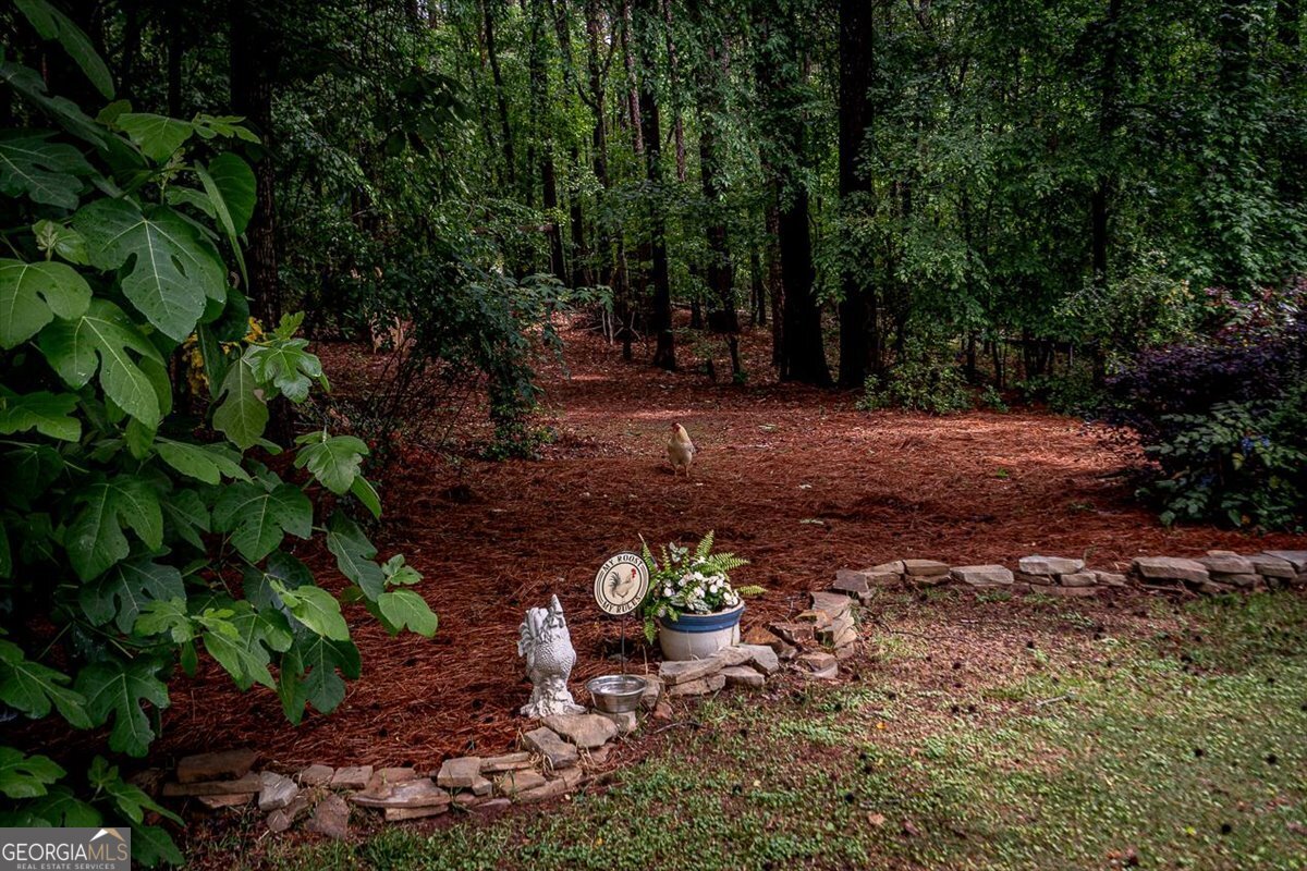 1715 Ammons Bridge Road Property Photo 75