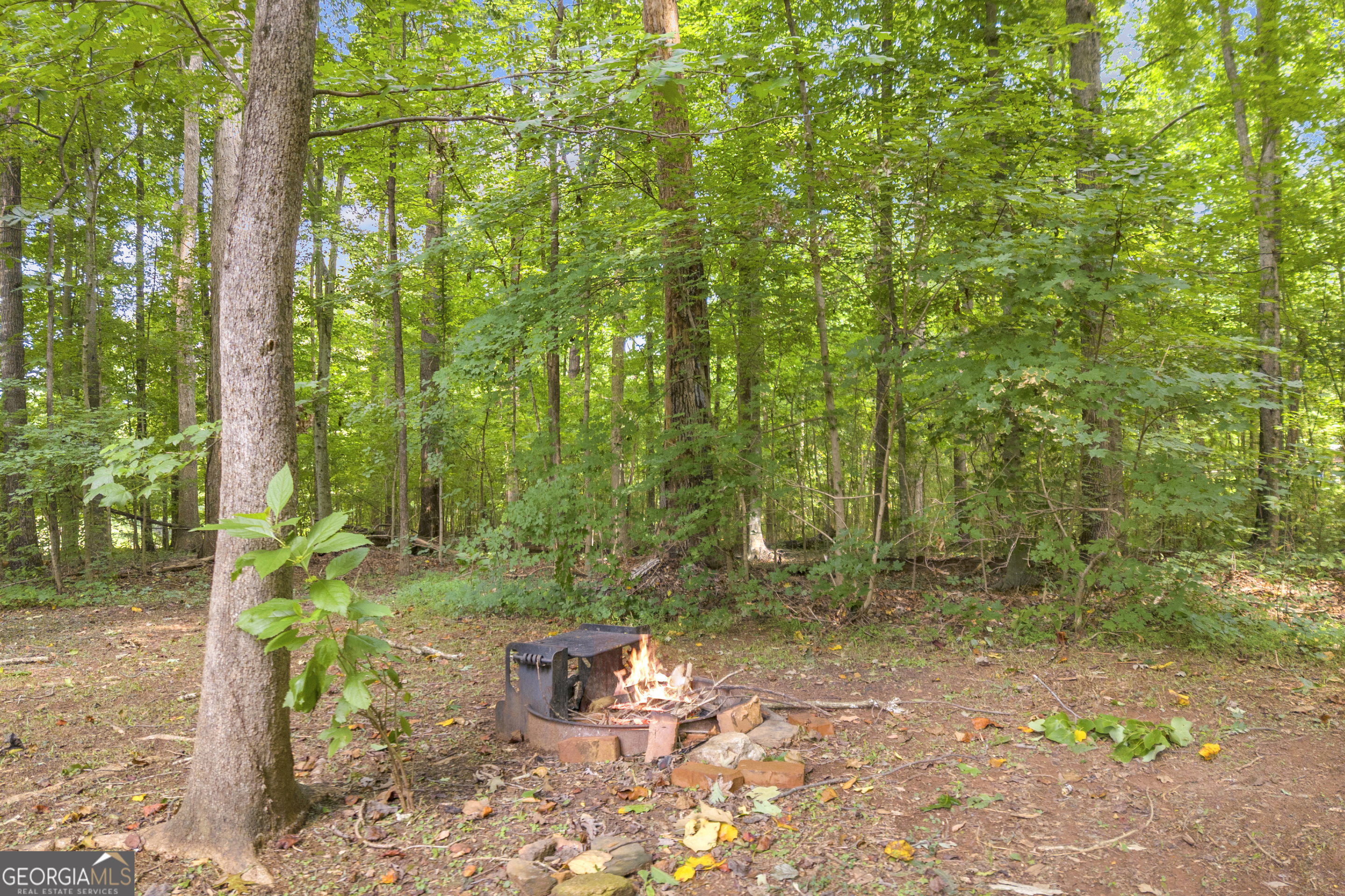1769 Duncan Road Property Photo 6
