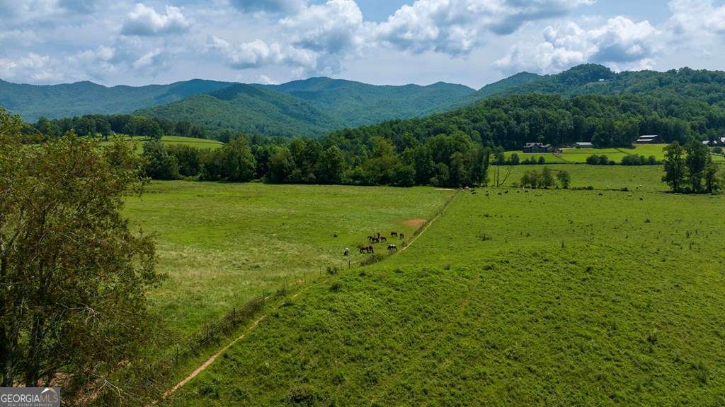 51.20 Ac Bethabara Road Property Photo 1