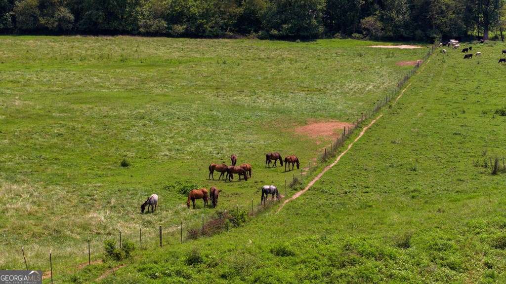 51.20 Ac Bethabara Road Property Photo 3