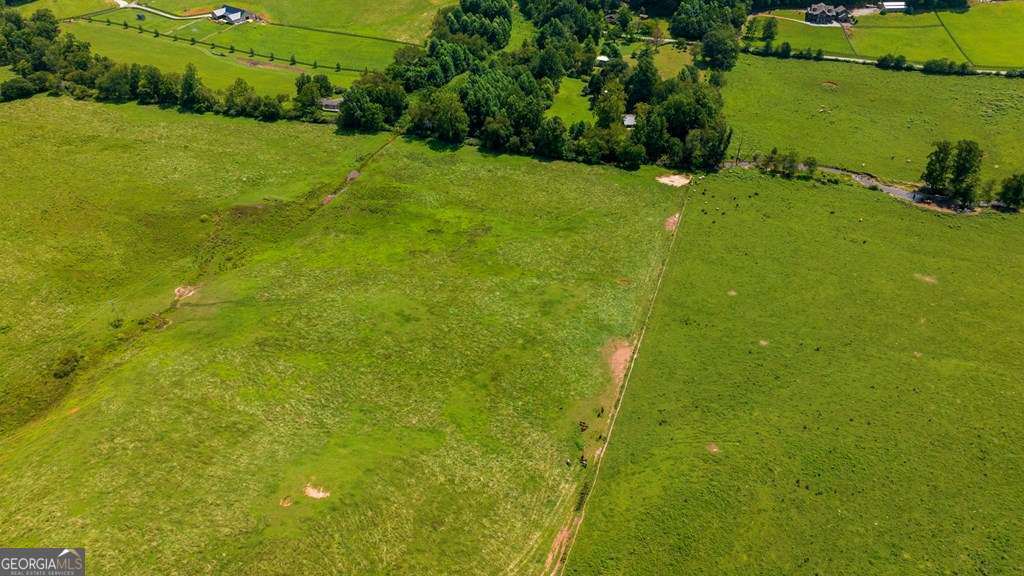 51.20 Ac Bethabara Road Property Photo 7