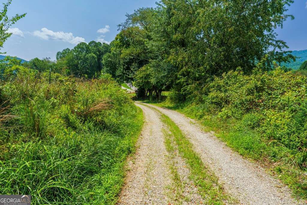 51.20 Ac Bethabara Road Property Photo 8
