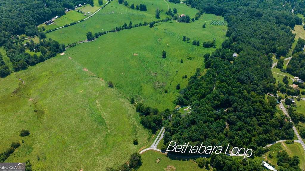 51.20 Ac Bethabara Road Property Photo 12
