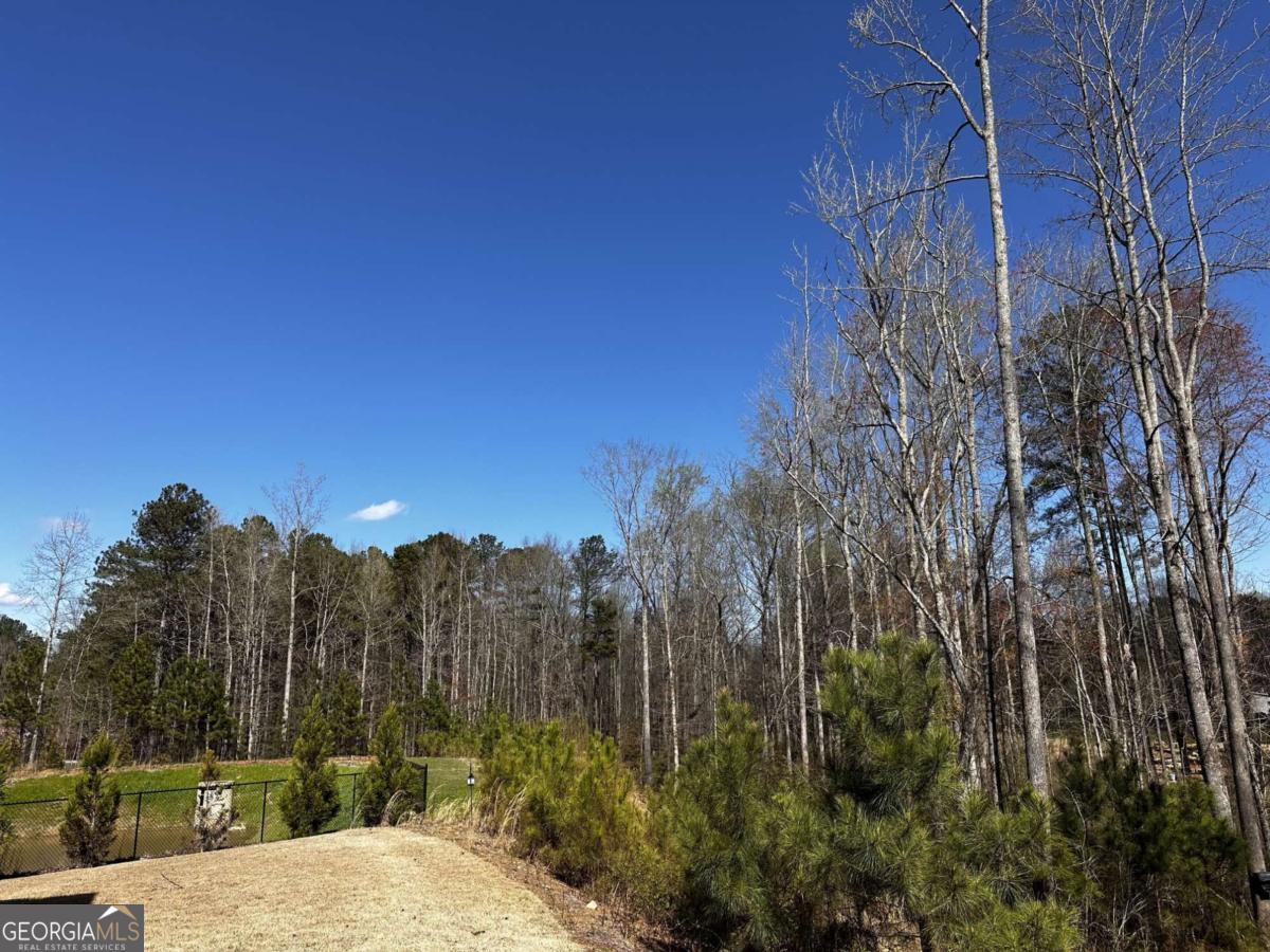 3075 Summerpoint Crossing Property Photo 14
