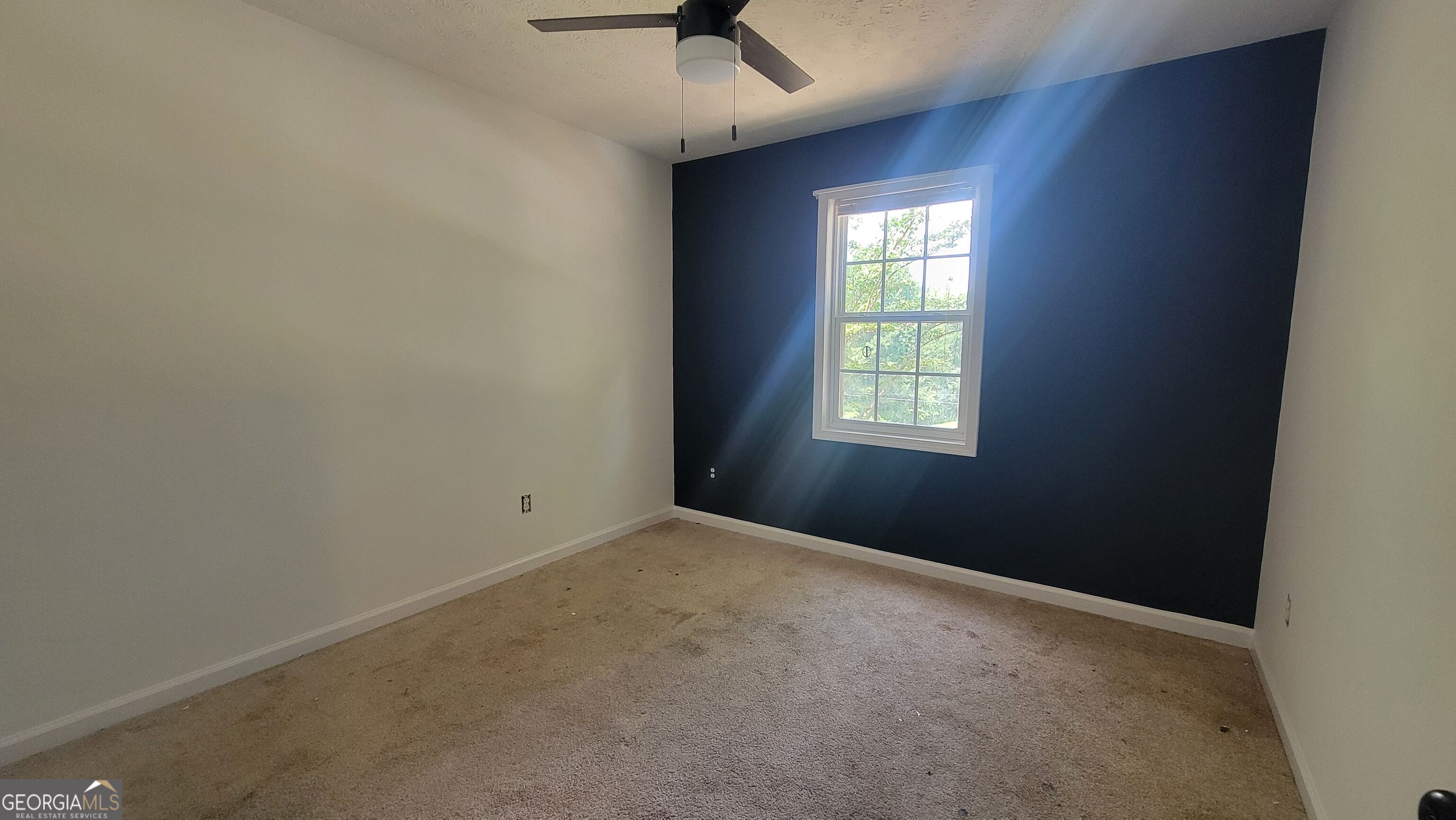 124 Taylors Lane Property Photo 16
