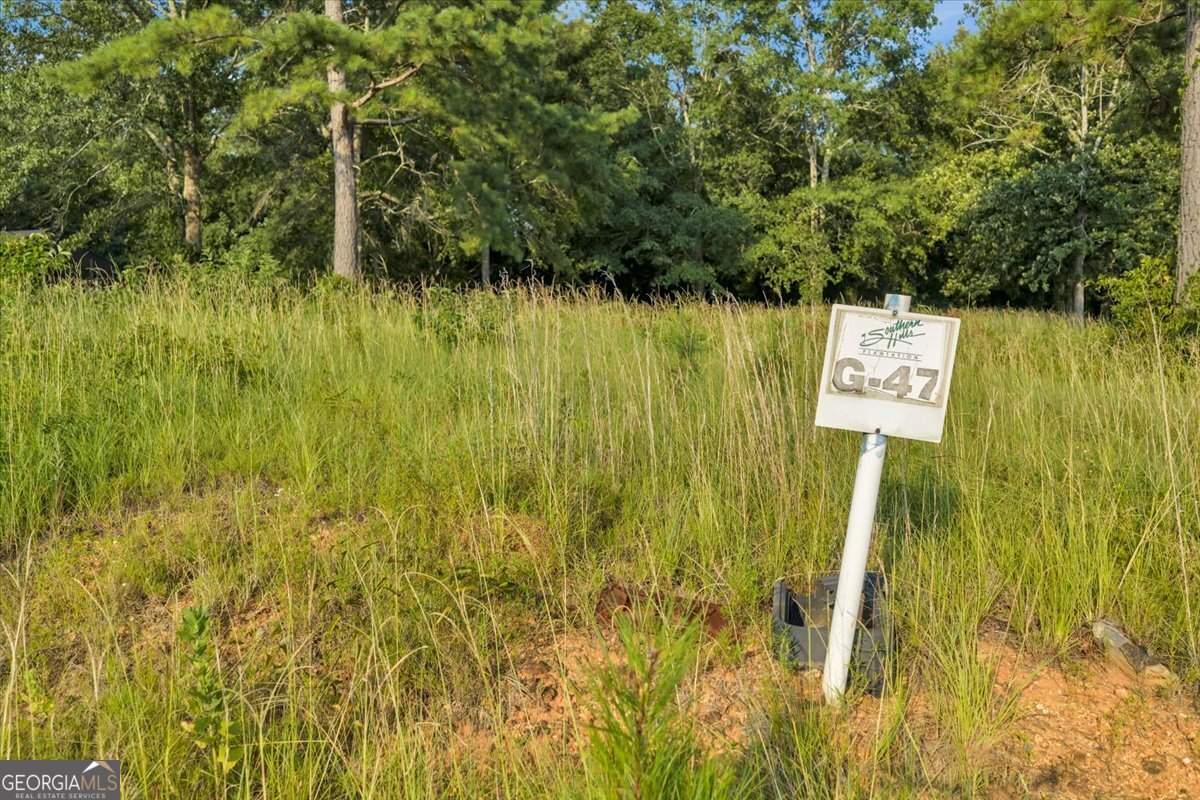 0 River Ridge Drive Property Photo 7