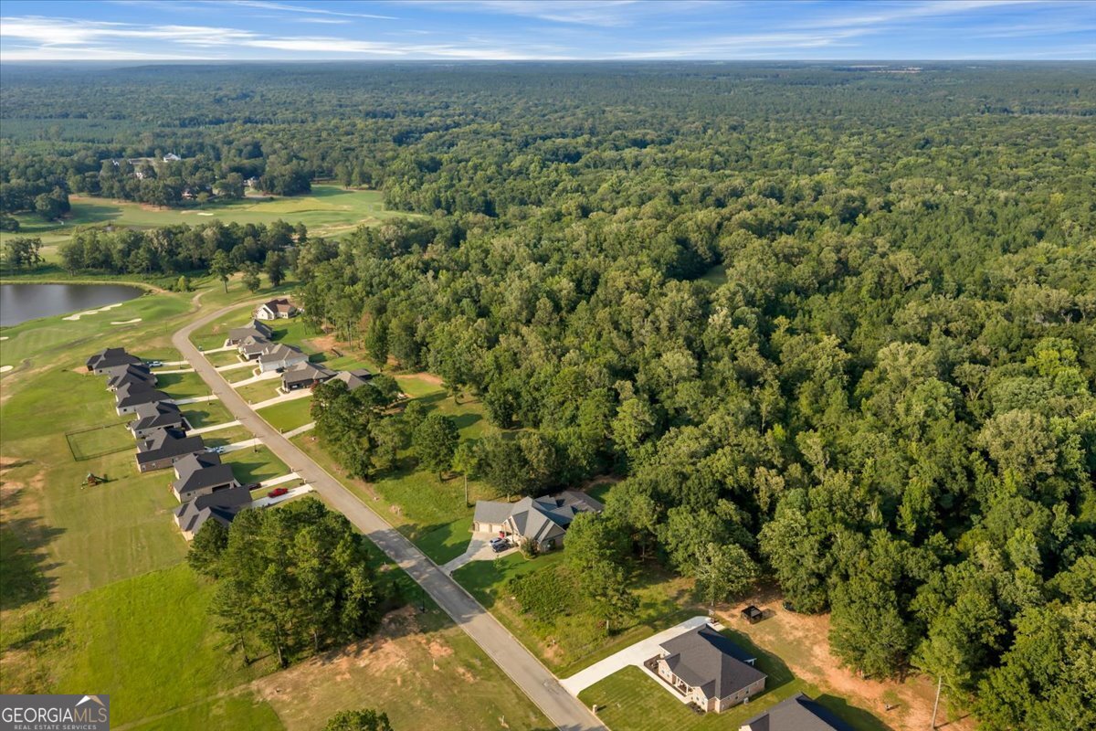 0 River Ridge Drive Property Photo 9
