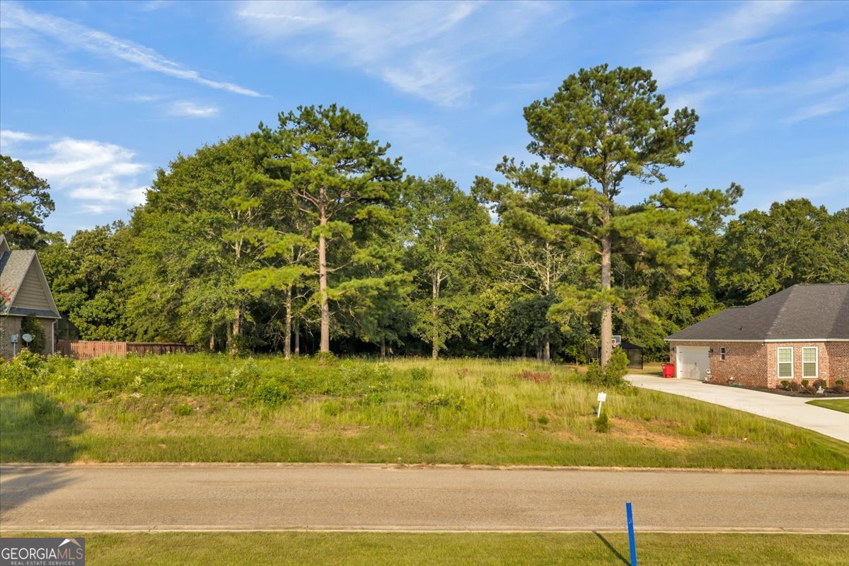 0 River Ridge Drive Property Photo 12