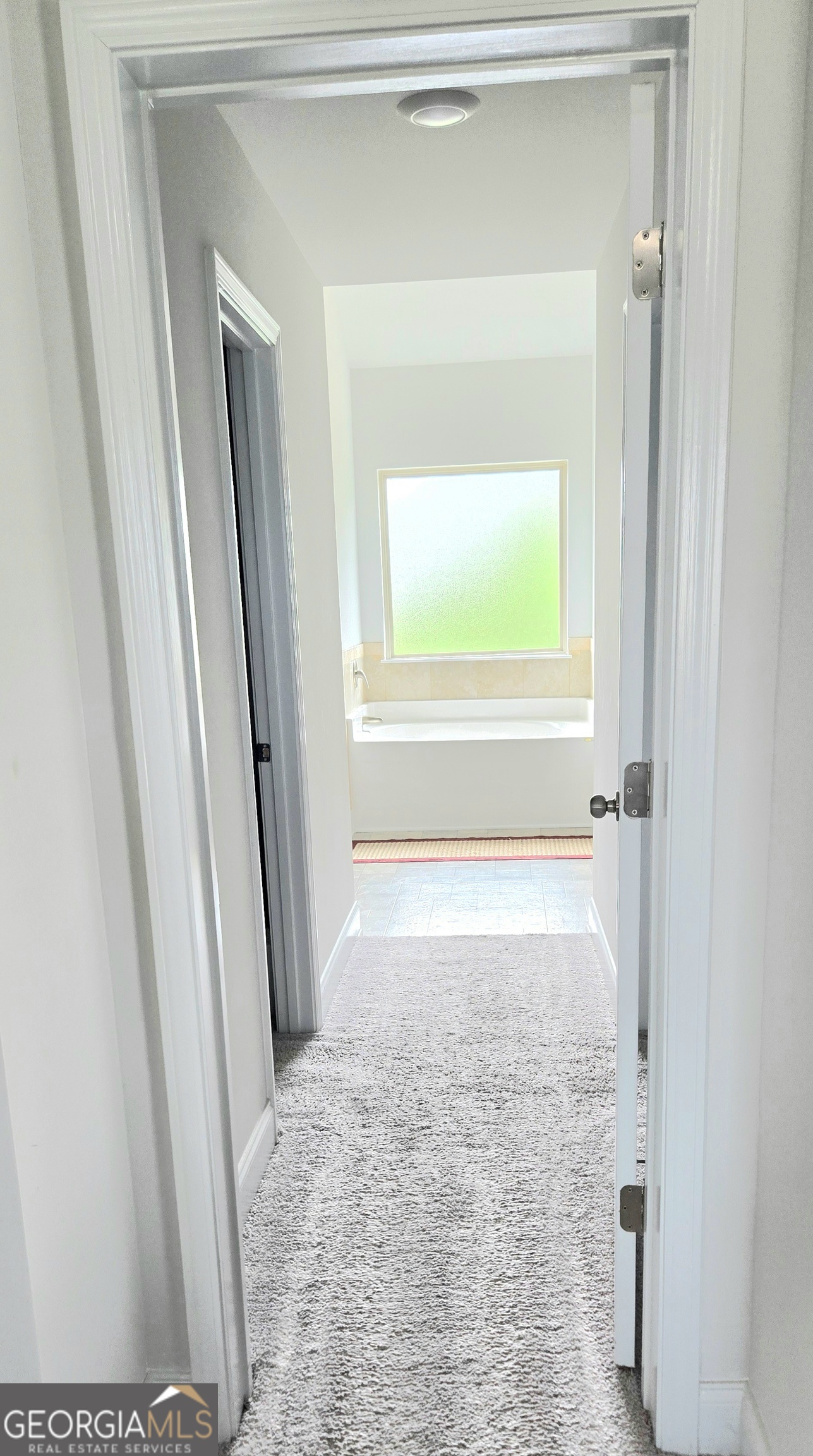 2802 Lydias Walk Property Photo 27