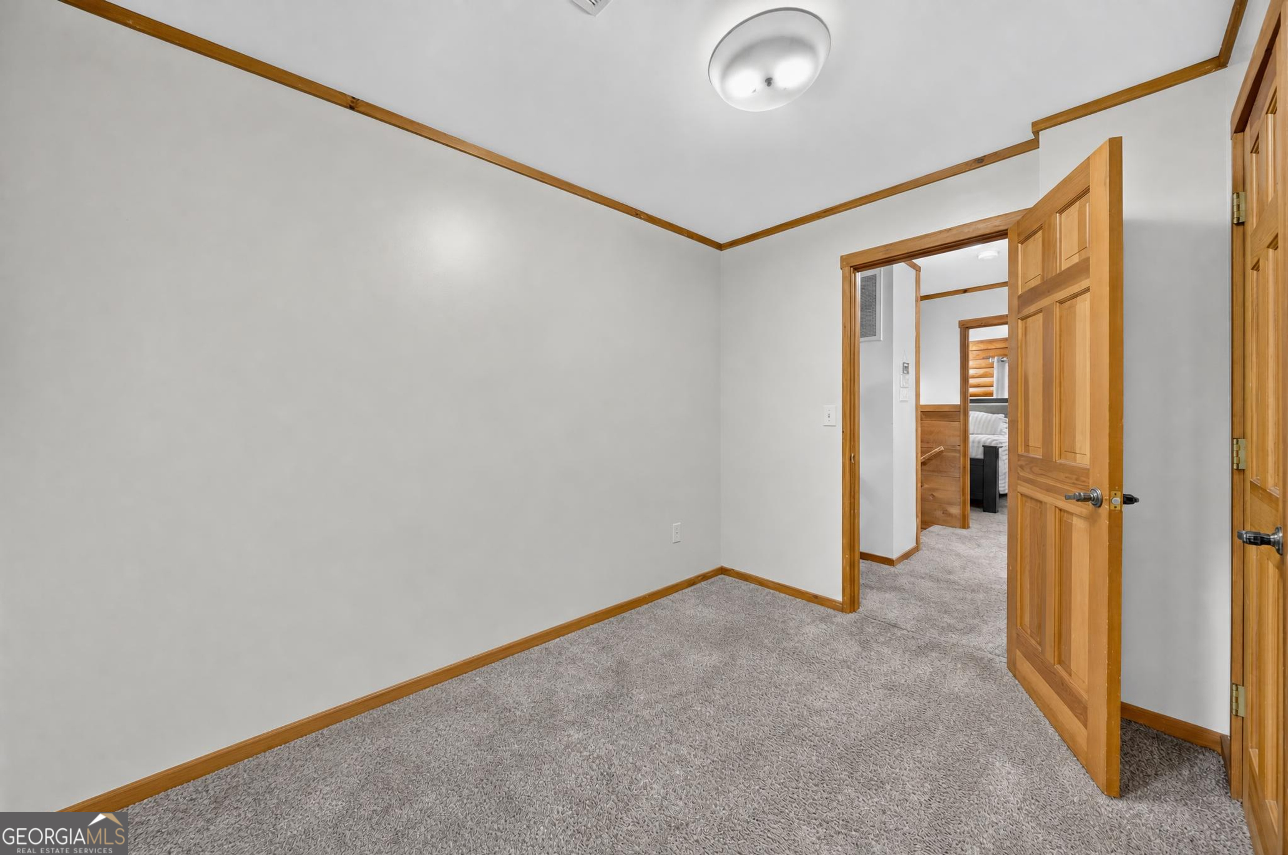 5454 Carolean Street Property Photo 29