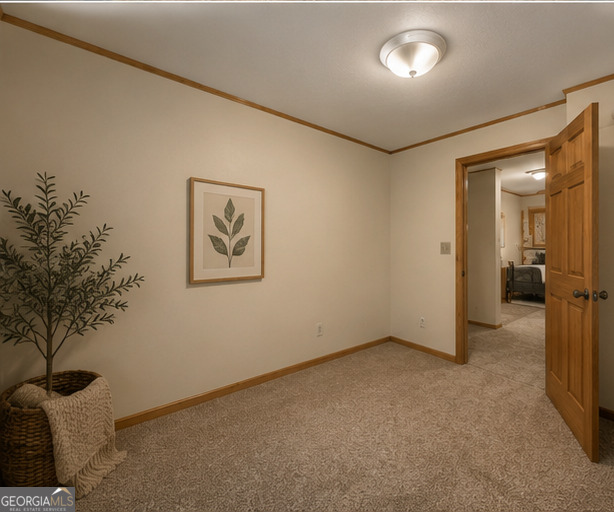 5454 Carolean Street Property Photo 57