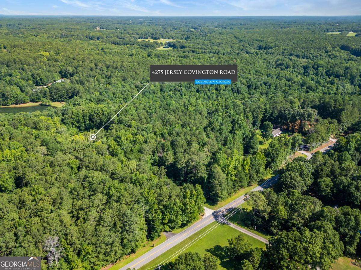 4275 Jersey Covington Road Property Photo 5