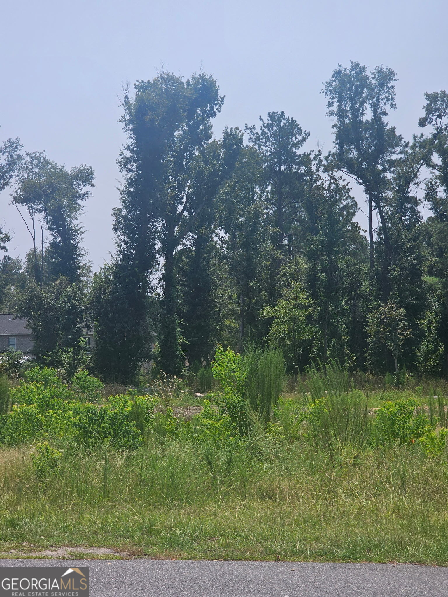 0 Chesley Drive Property Photo 2