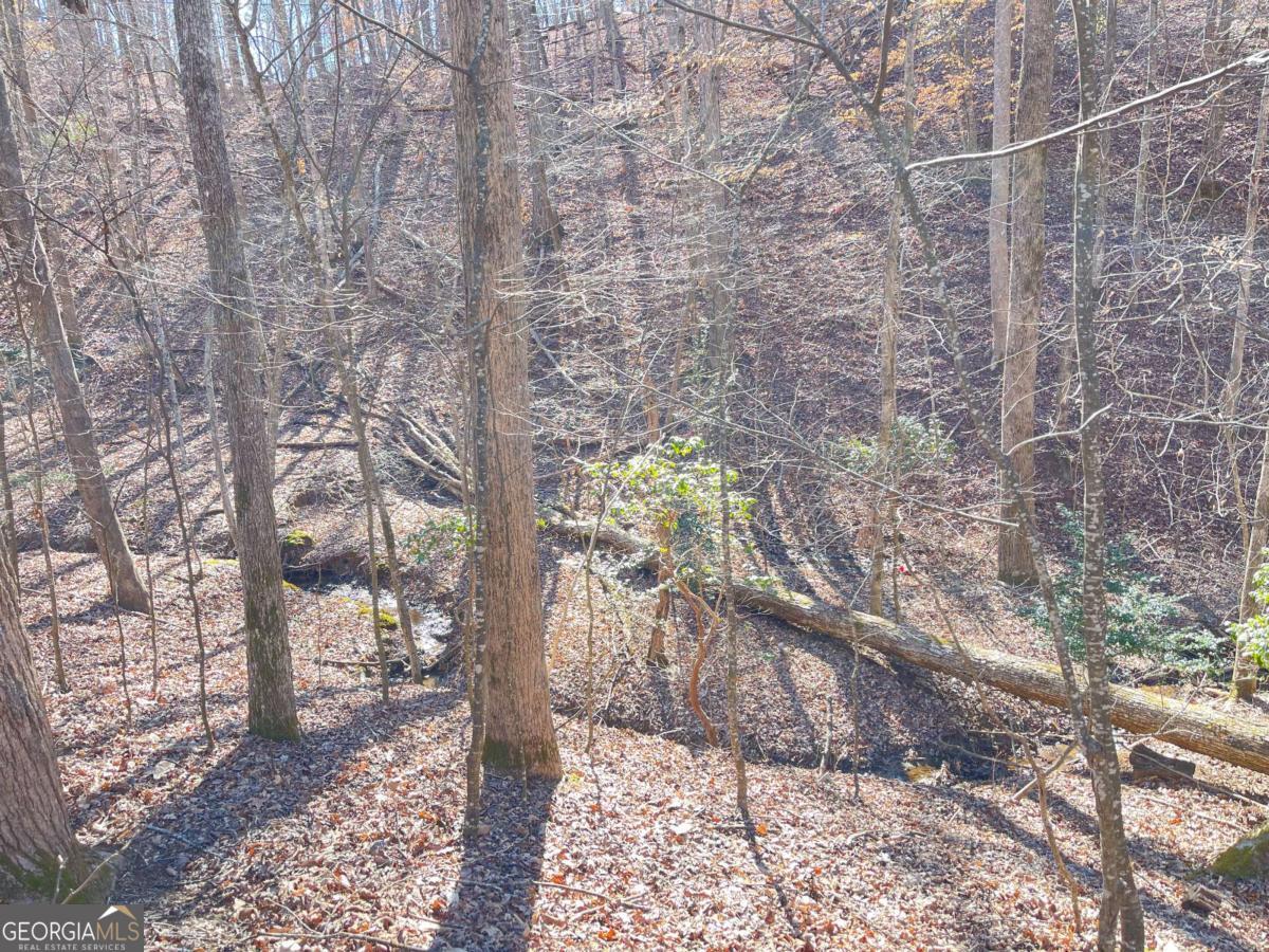 7703 Pine Circle Property Photo 8