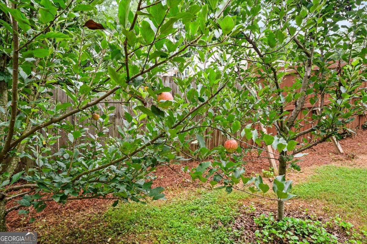 414 Alexander Circle Se Property Photo 33