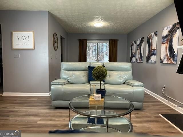 3766 Conley Downs Lane Property Photo 4