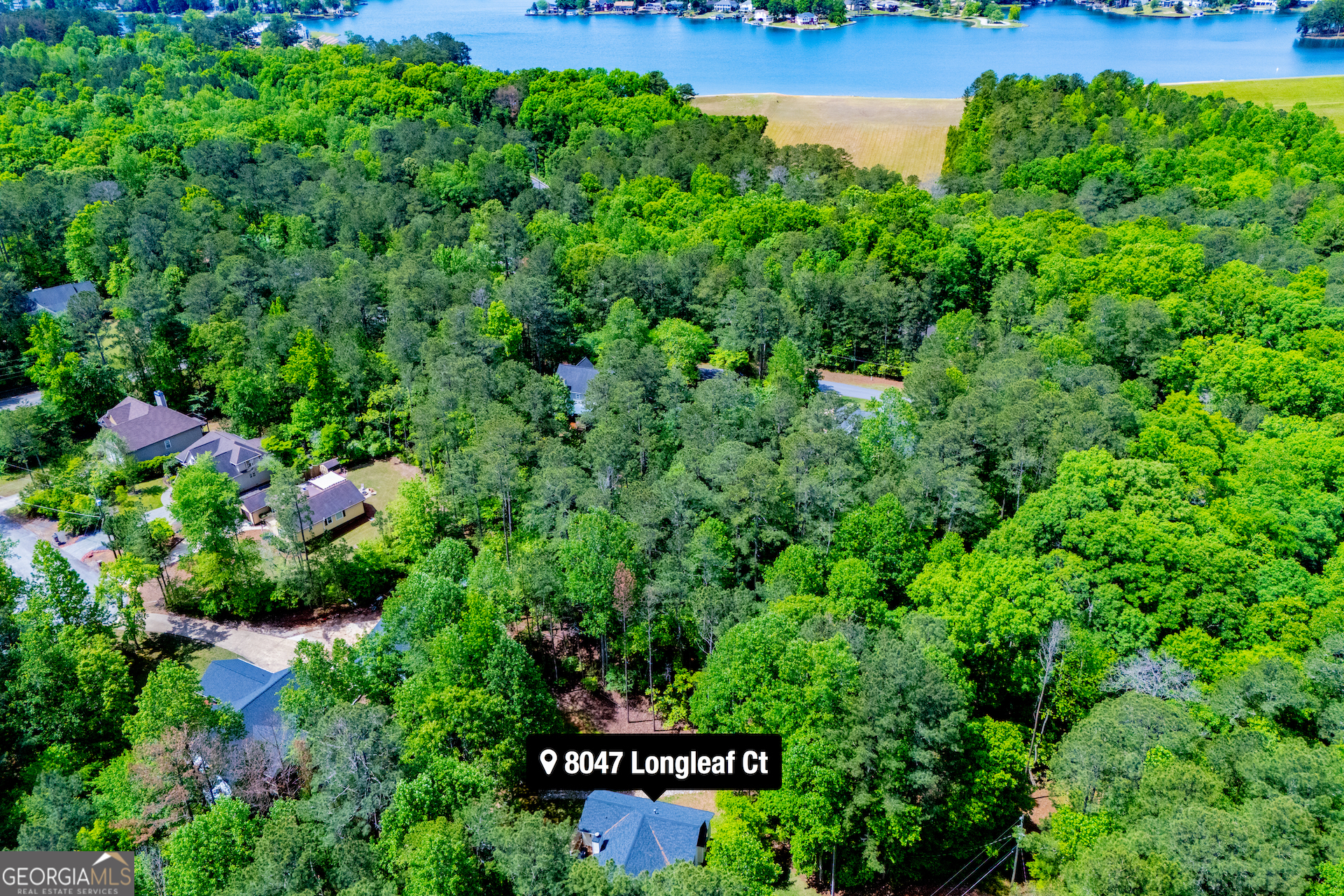 8047 Longleaf Court Property Photo 29
