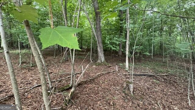 2081 Jerusalem Church Road Property Photo 26