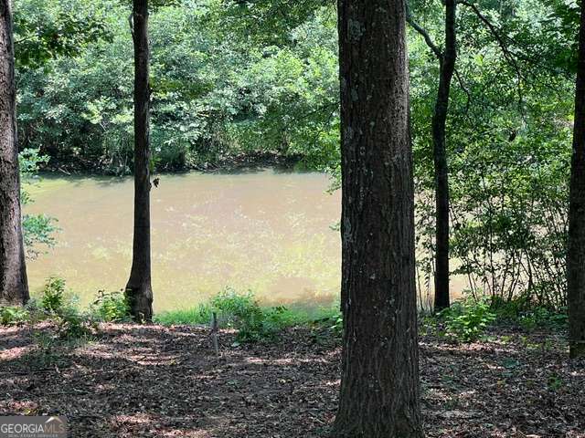 196 Old Scout Road Property Photo 3