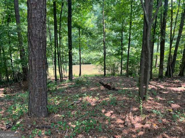 196 Old Scout Road Property Photo 29