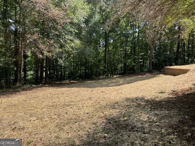 196 Old Scout Road Property Photo 31