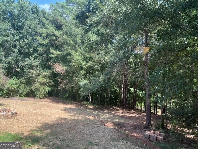 196 Old Scout Road Property Photo 34