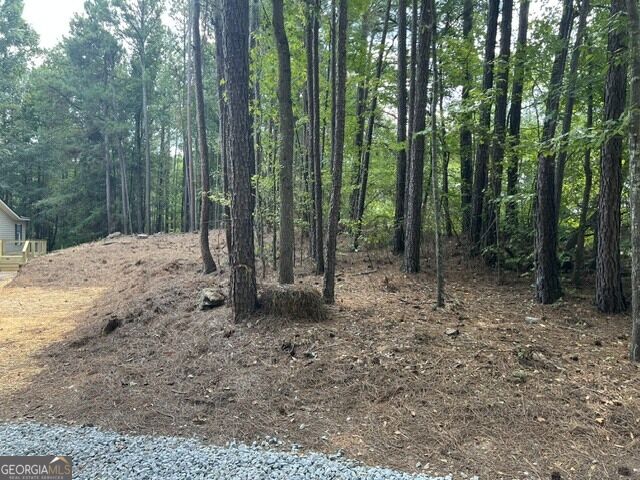196 Old Scout Road Property Photo 35