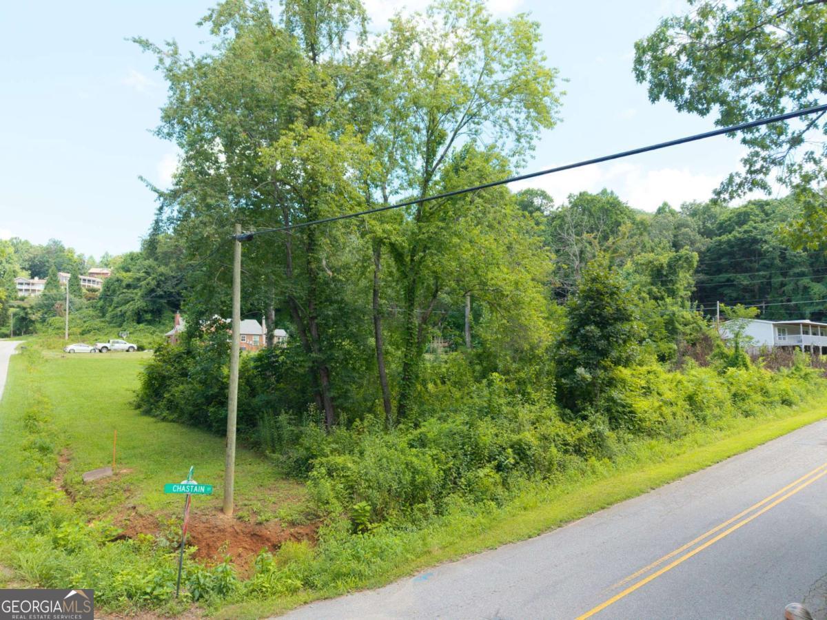 0 Bell Street Property Photo 5