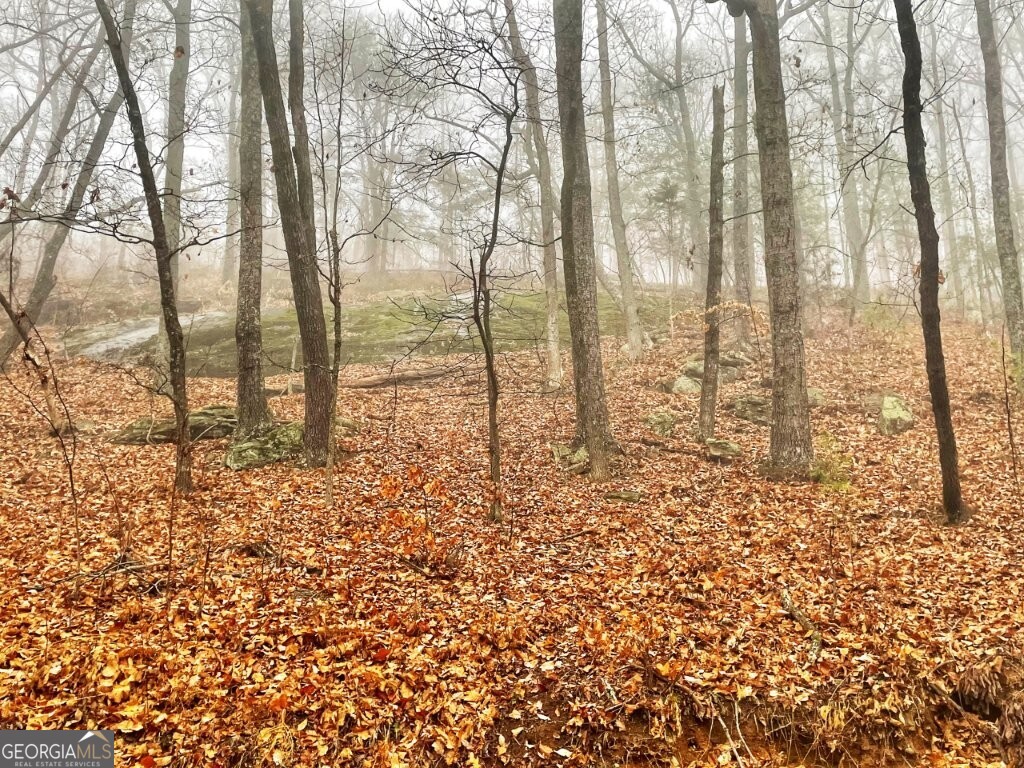 0 Fox Mountain Road