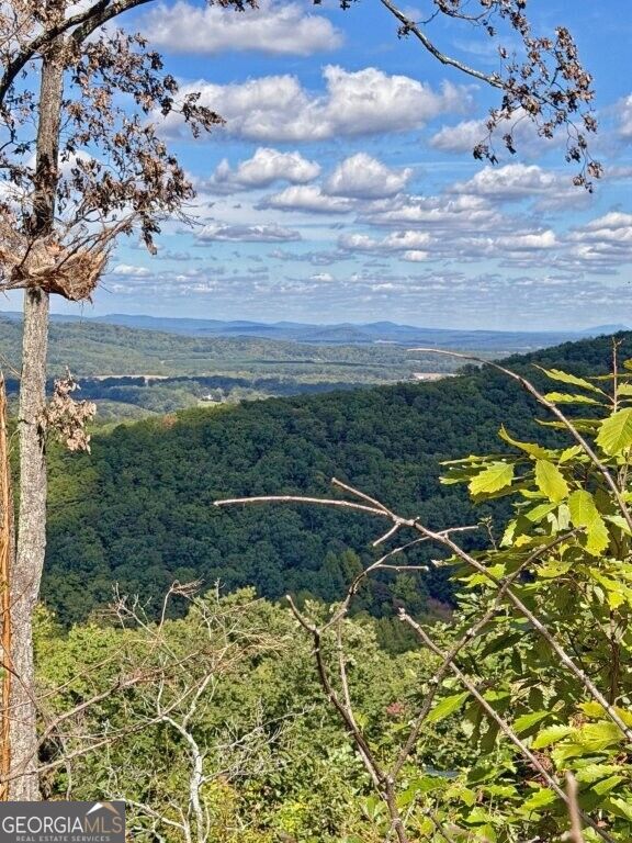 0 Fox Mountain Road Property Photo 2