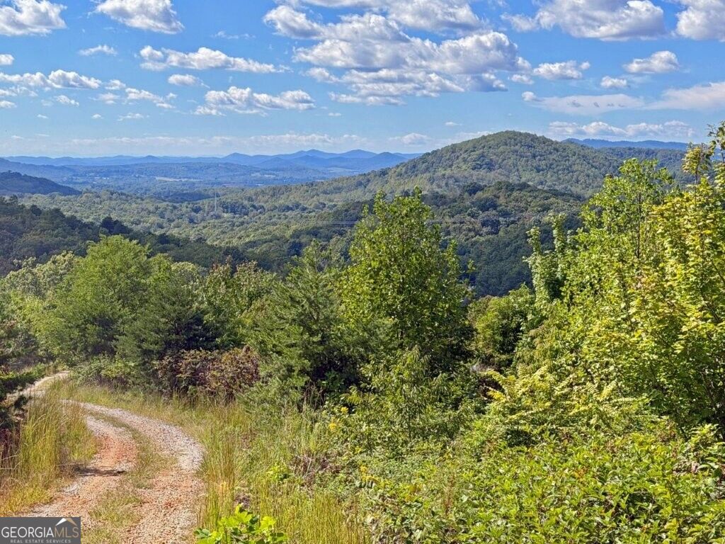 0 Fox Mountain Road Property Photo 3
