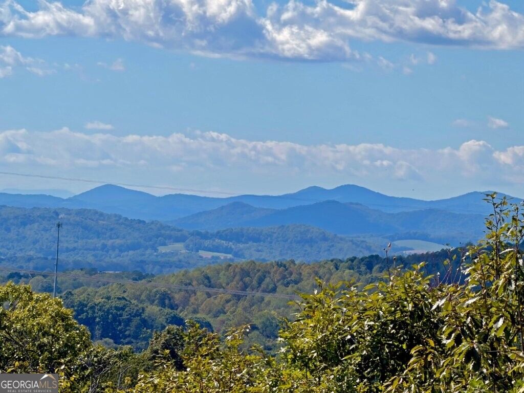 0 Fox Mountain Road Property Photo 4
