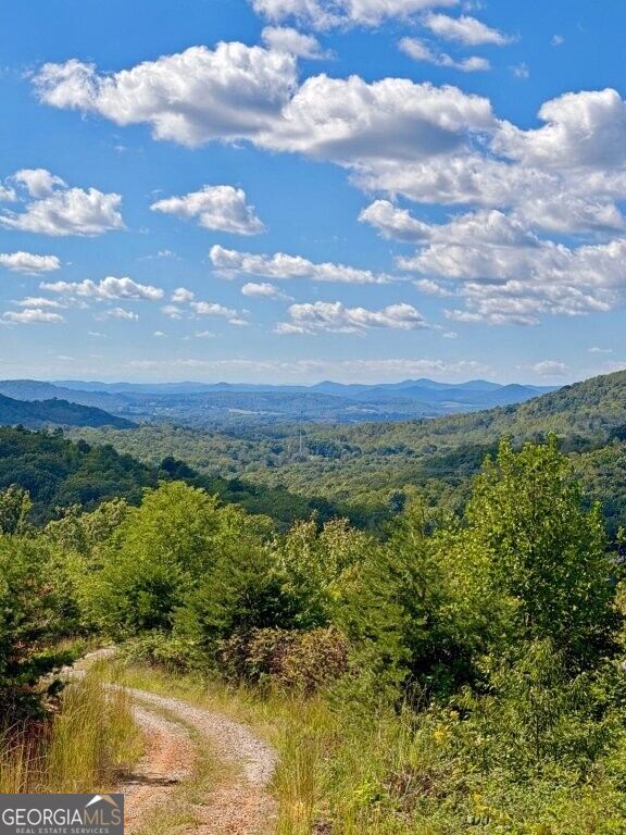 0 Fox Mountain Road Property Photo 5
