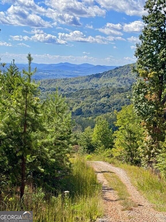 0 Fox Mountain Road Property Photo 6
