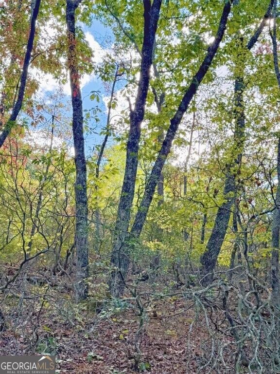 0 Fox Mountain Road Property Photo 7