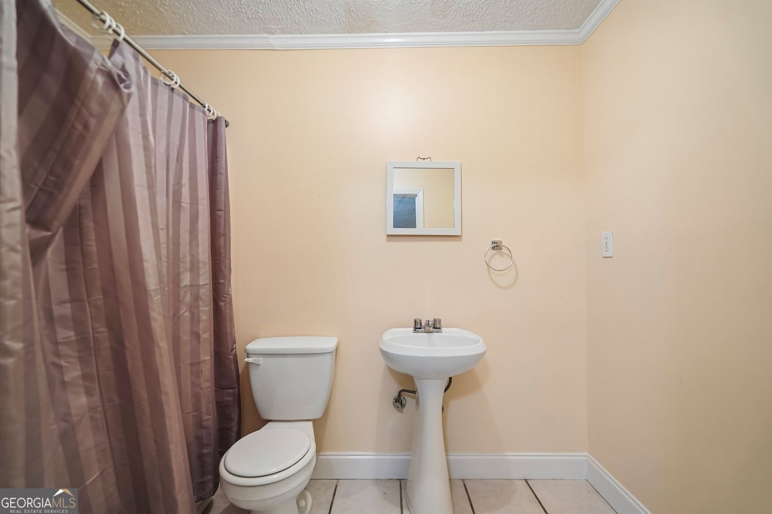 4522 Mulberry Fields Lane Property Photo 32