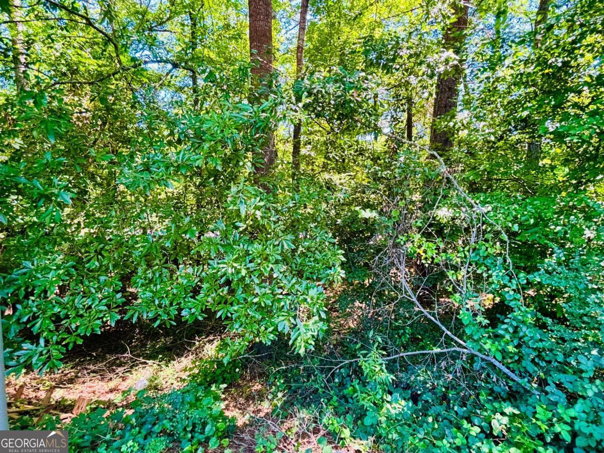 100 Saxon Woods Drive Property Photo 2