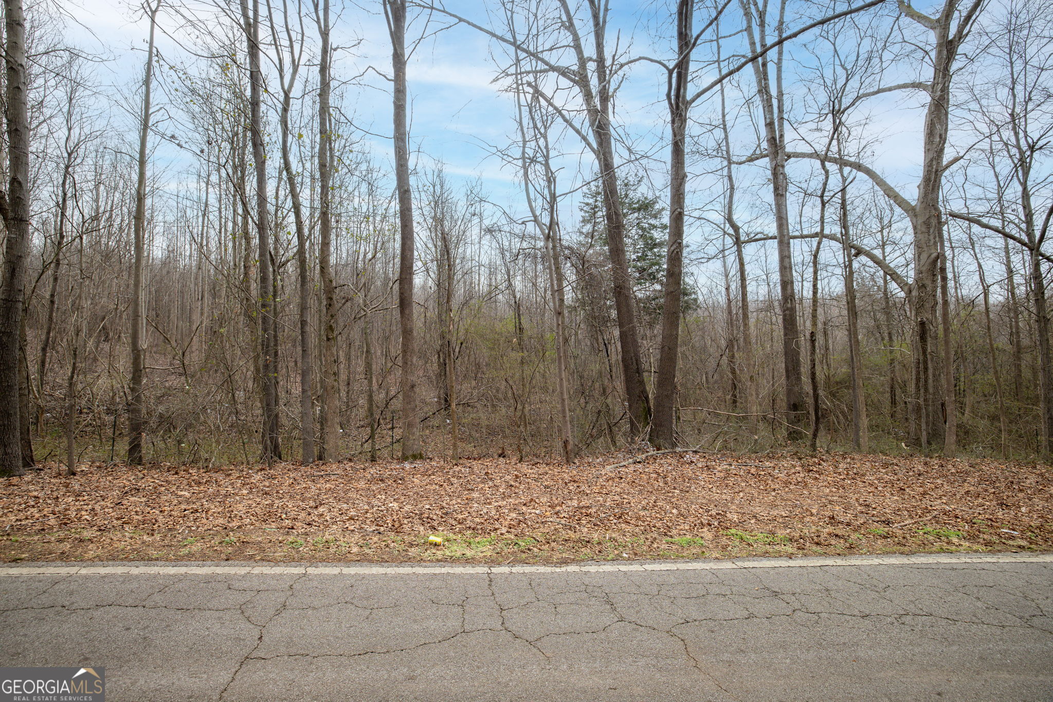 740 Broad River Church Rd Tract B Property Photo 2