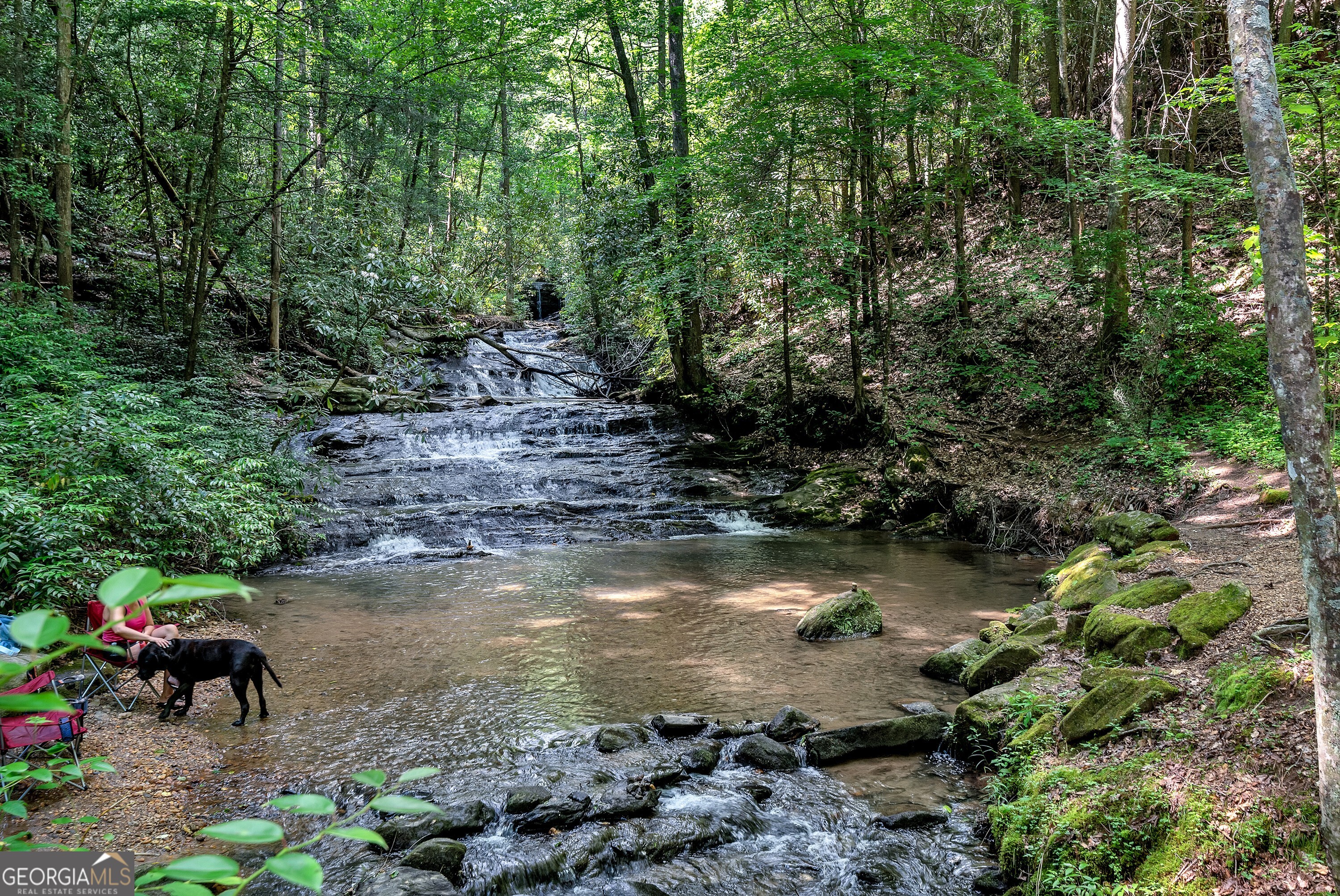 161 Falling Creek Property Photo 49