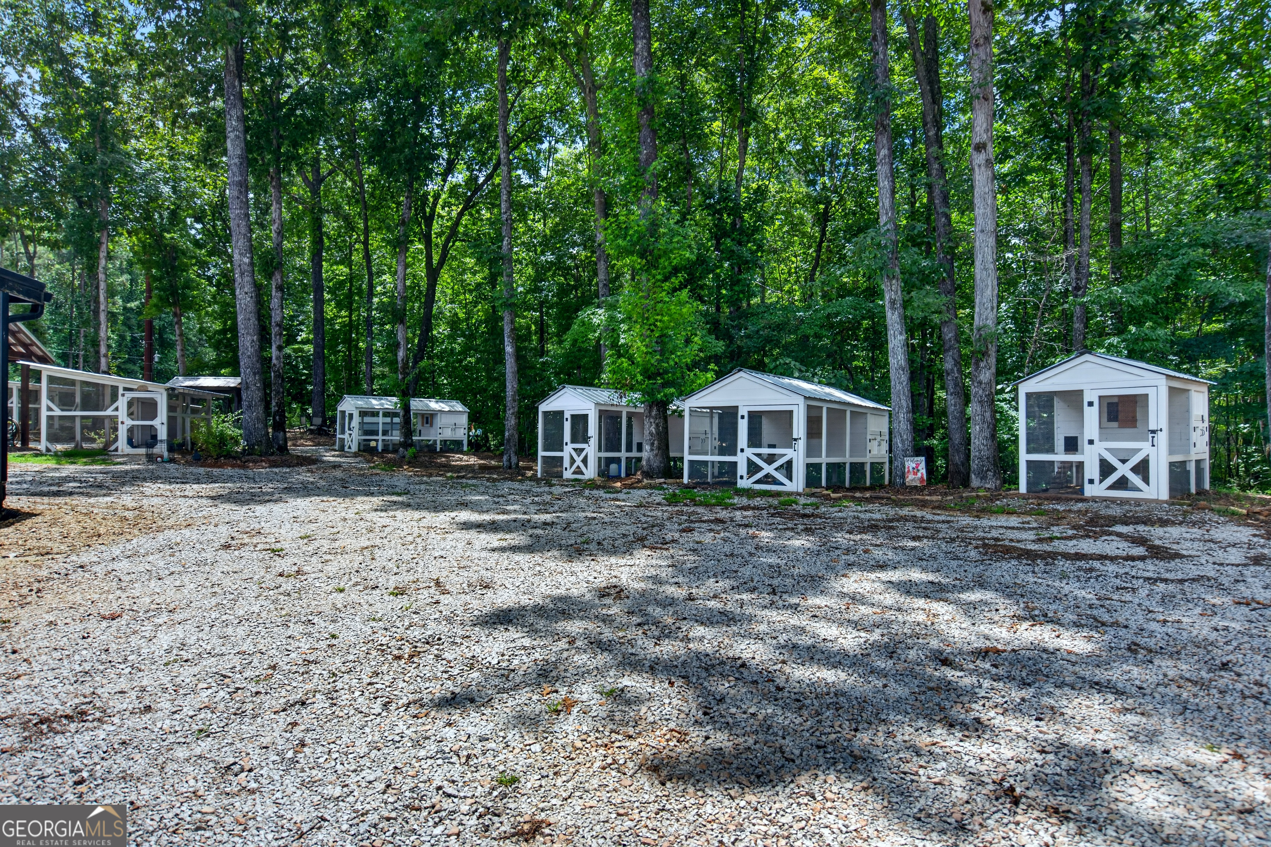 7181 County Road 266 Property Photo 49