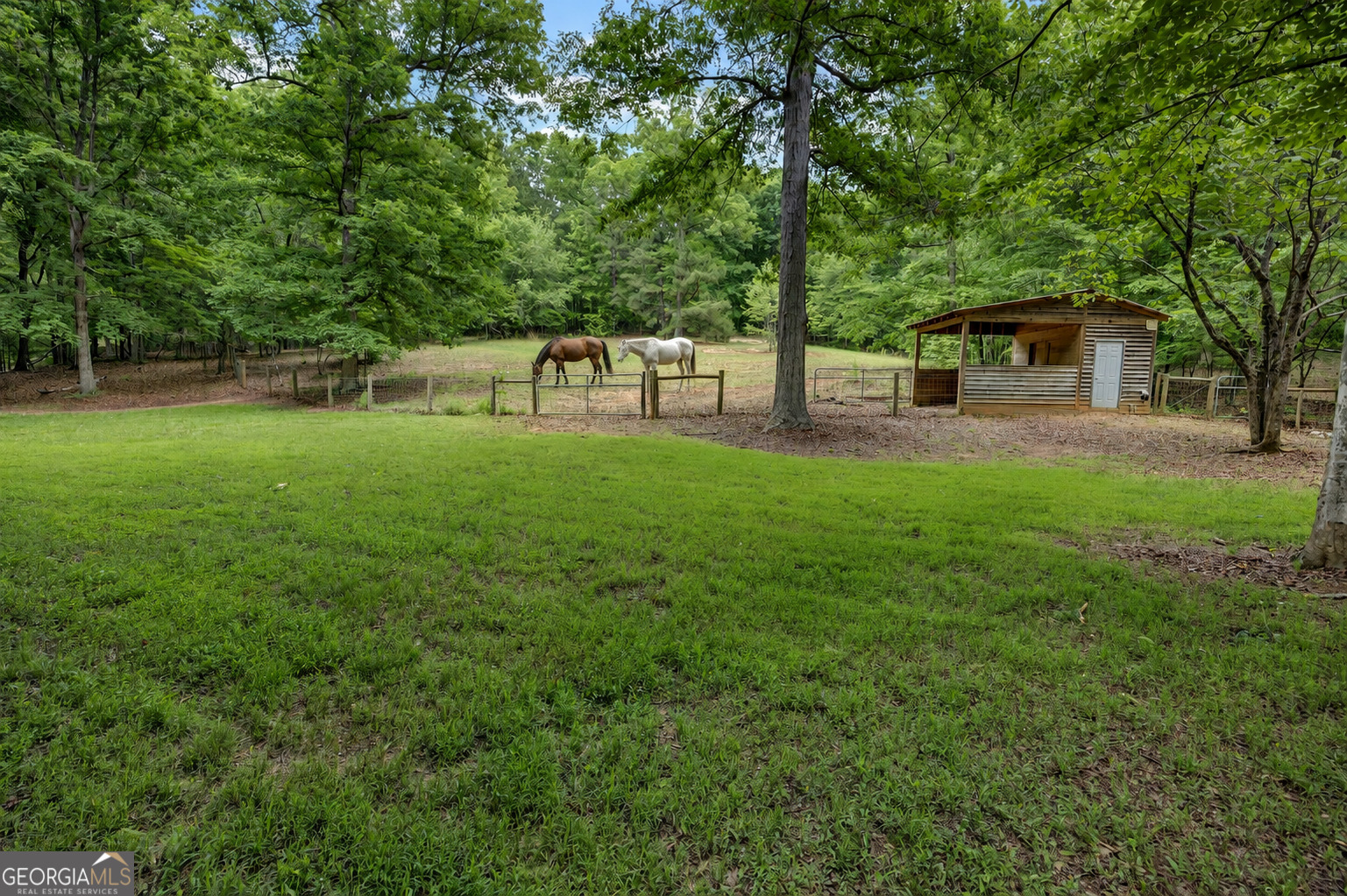 560 Hawks Trail Property Photo 6