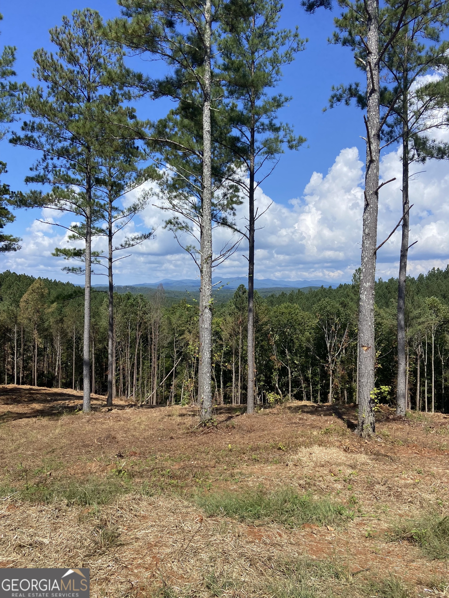Lot 63 Lacey Springs Lane Property Photo 1