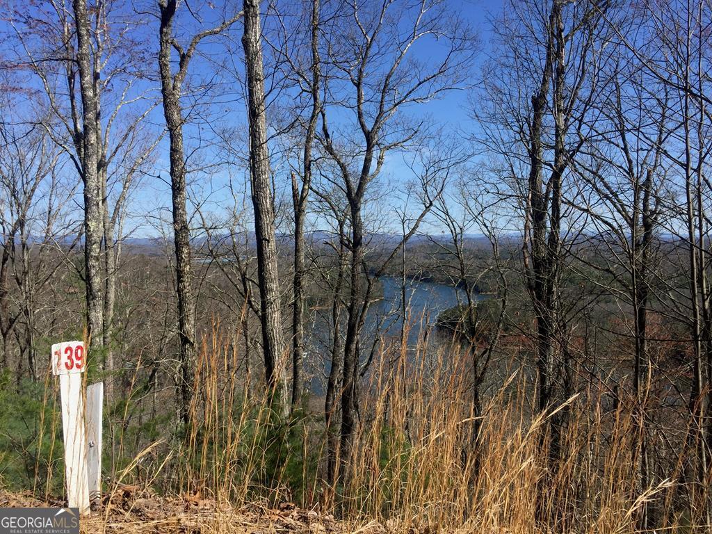 #139 Genessee Path Property Photo 6