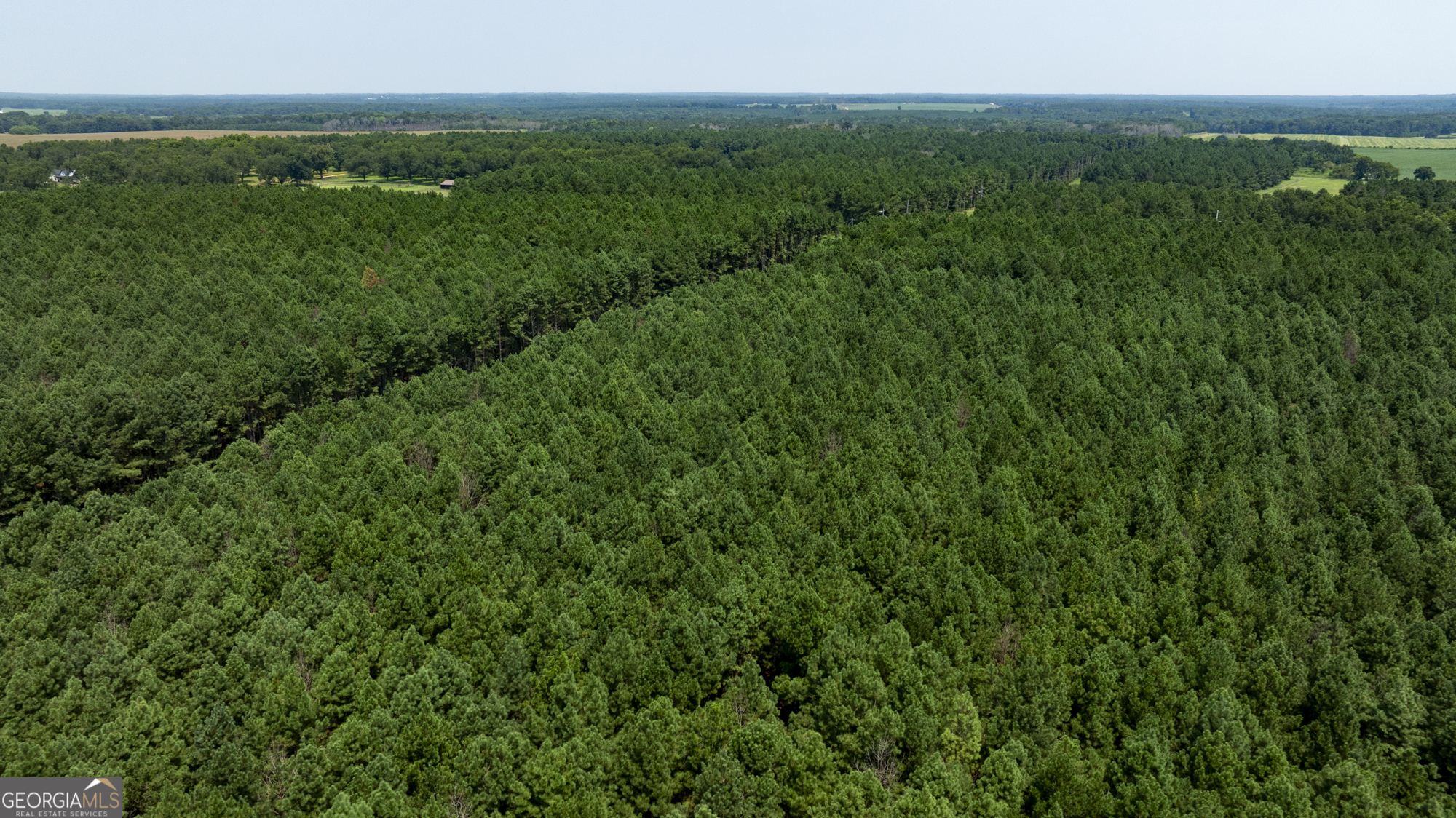 0 Northern County Line Road Property Photo 6