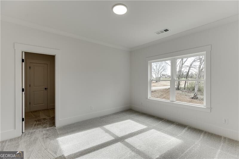 128 Ivey Trace Court Property Photo 49