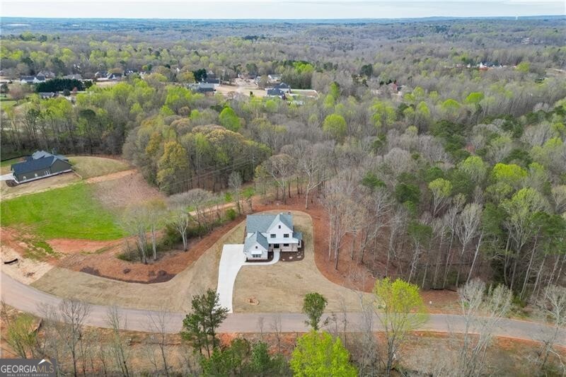 128 Ivey Trace Court Property Photo 62
